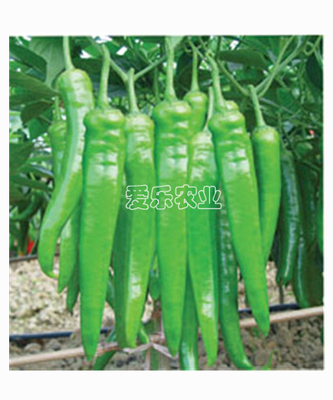超级长剑Super Sword